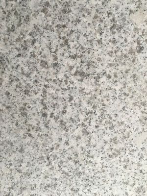 湖北随州卡基诺金大黄光面